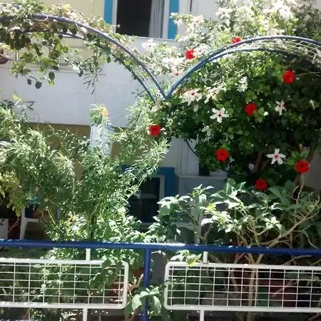 Apollonia